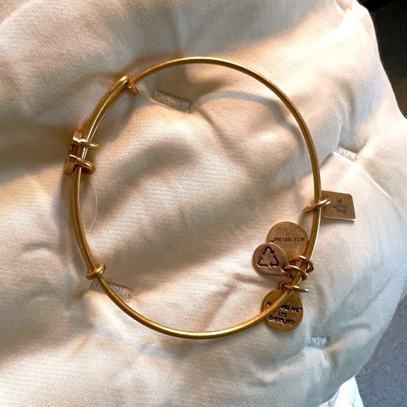 Alex and Ani lucky charm horse shoe bracelet, "Rafaelian Gold®", Nickel-free. - Picture 5 of 6